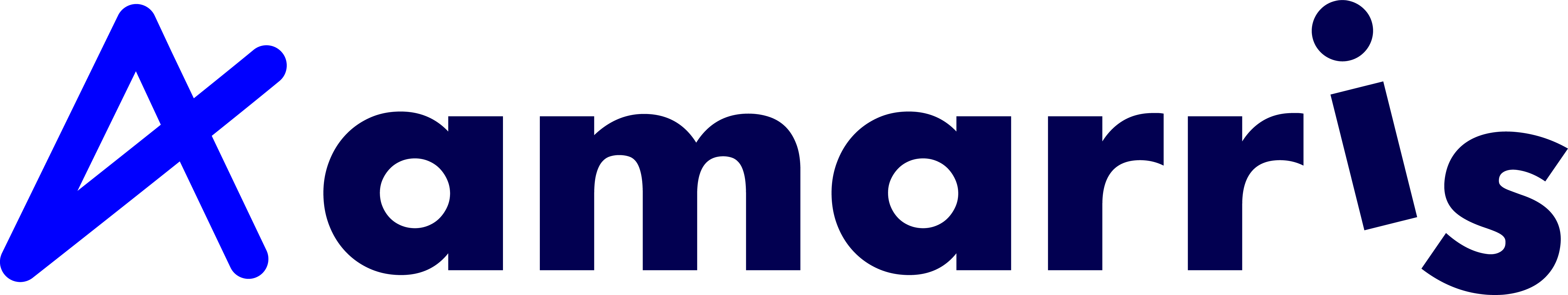 Accueil Amarris Groupe