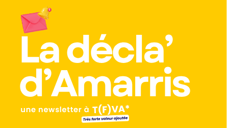 La décla’ d’Amarris, une newsletter à T(f)VA ! La décla' d'Amarris, une newsletter à T(f)VA !